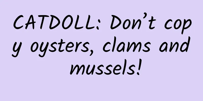 CATDOLL: Don’t copy oysters, clams and mussels!