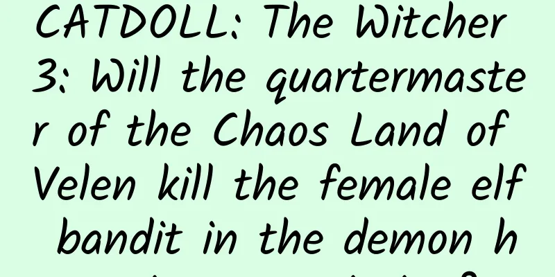 CATDOLL: The Witcher 3: Will the quartermaster of the Chaos Land of Velen kill the female elf bandit in the demon hunting commission?