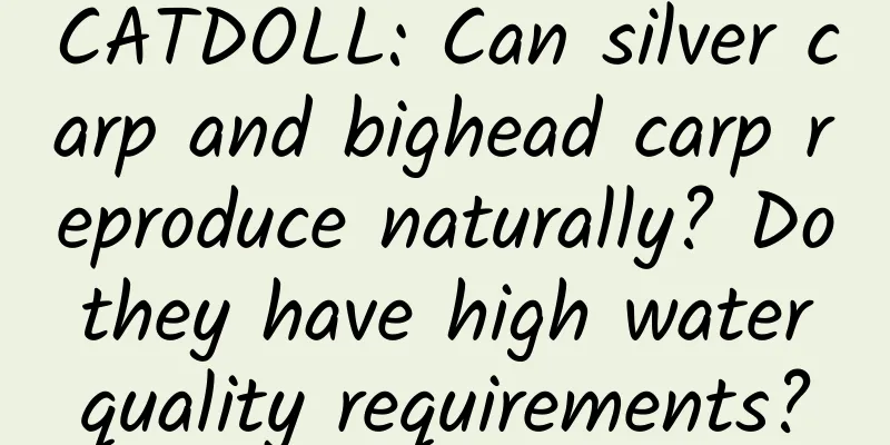 CATDOLL: Can silver carp and bighead carp reproduce naturally? Do they have high water quality requirements?