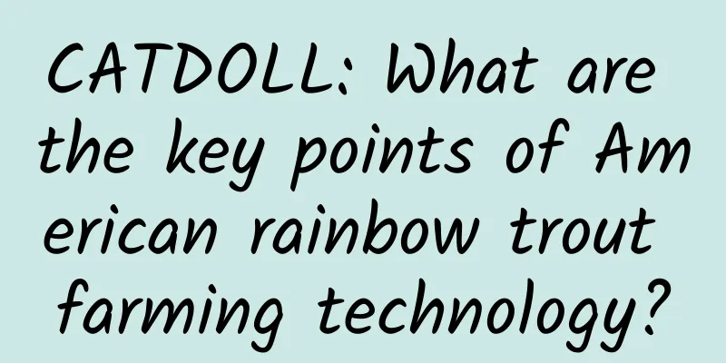 CATDOLL: What are the key points of American rainbow trout farming technology?