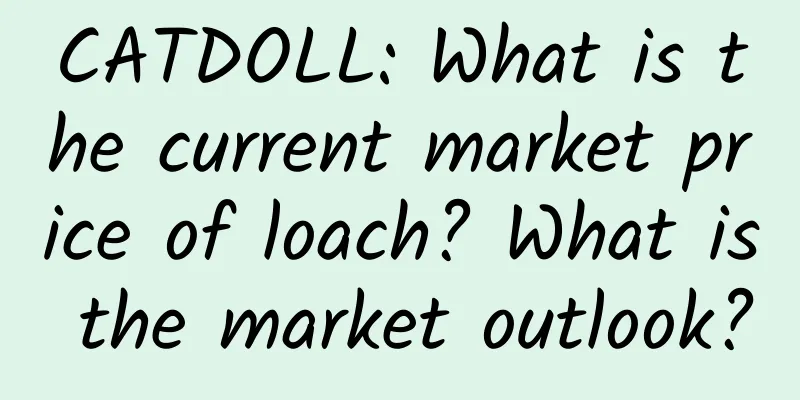 CATDOLL: What is the current market price of loach? What is the market outlook?