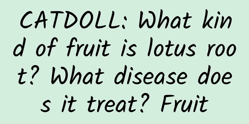 CATDOLL: What kind of fruit is lotus root? What disease does it treat? Fruit
