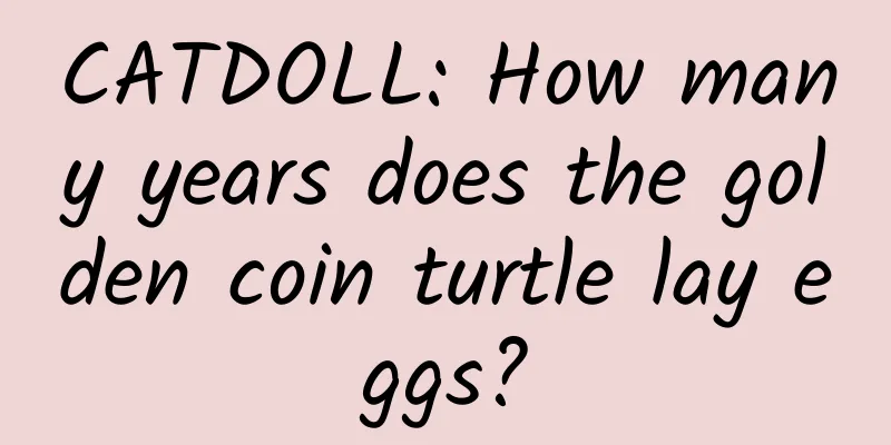 CATDOLL: How many years does the golden coin turtle lay eggs?