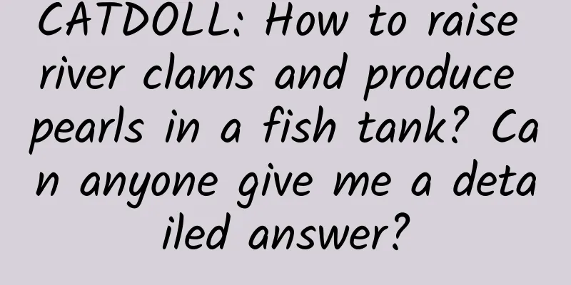 CATDOLL: How to raise river clams and produce pearls in a fish tank? Can anyone give me a detailed answer?