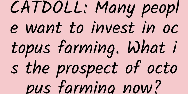 CATDOLL: Many people want to invest in octopus farming. What is the prospect of octopus farming now?