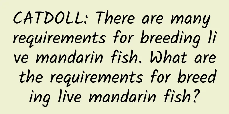 CATDOLL: There are many requirements for breeding live mandarin fish. What are the requirements for breeding live mandarin fish?