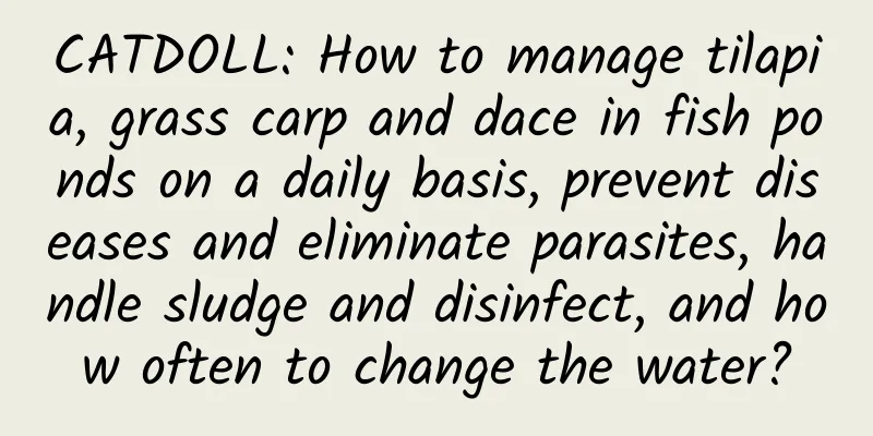 CATDOLL: How to manage tilapia, grass carp and dace in fish ponds on a daily basis, prevent diseases and eliminate parasites, handle sludge and disinfect, and how often to change the water?