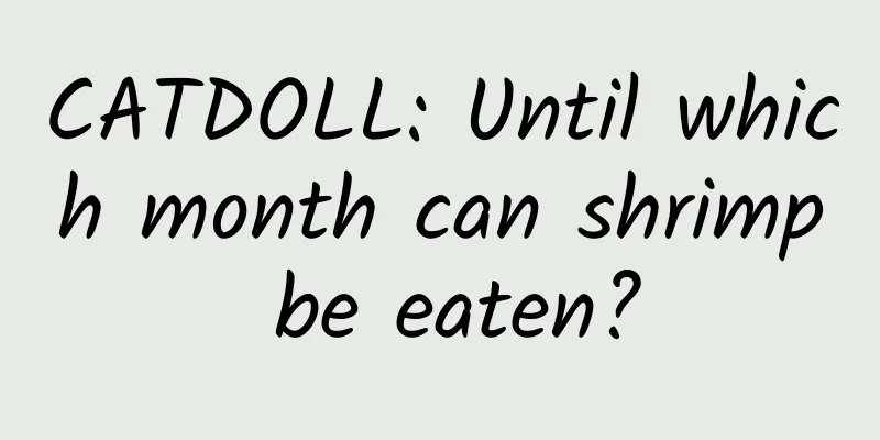 CATDOLL: Until which month can shrimp be eaten?