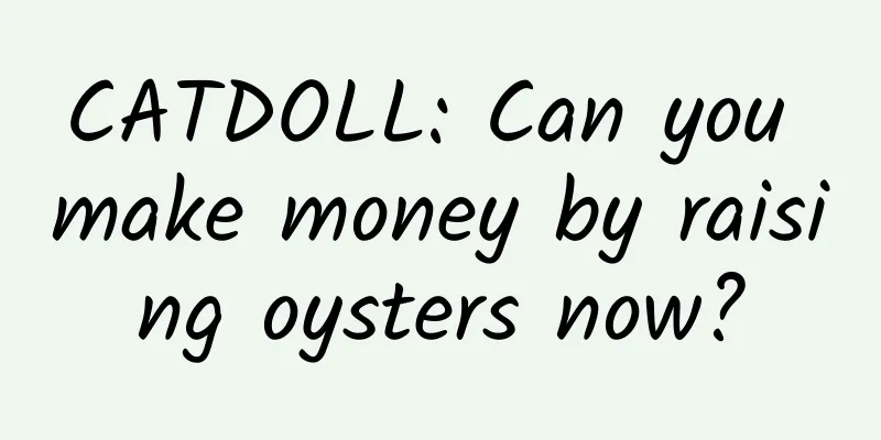 CATDOLL: Can you make money by raising oysters now?