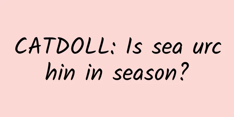 CATDOLL: Is sea urchin in season?
