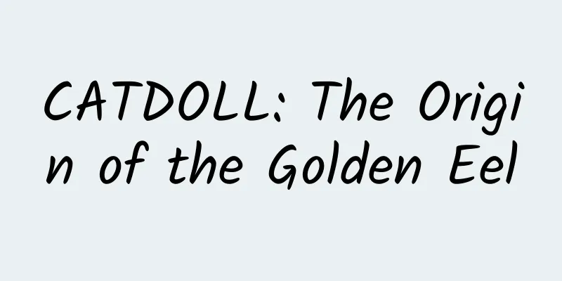 CATDOLL: The Origin of the Golden Eel