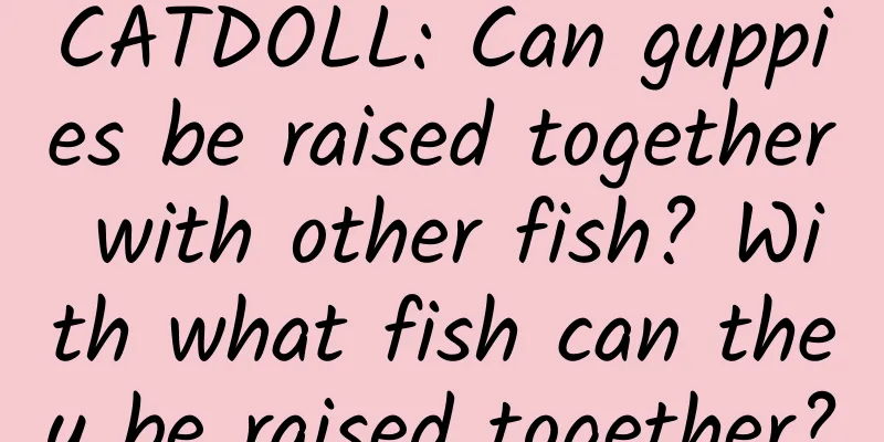 CATDOLL: Can guppies be raised together with other fish? With what fish can they be raised together?
