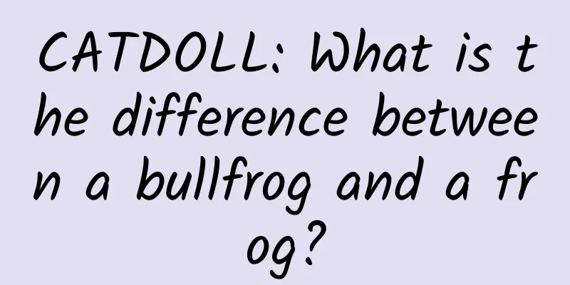CATDOLL: What is the difference between a bullfrog and a frog?