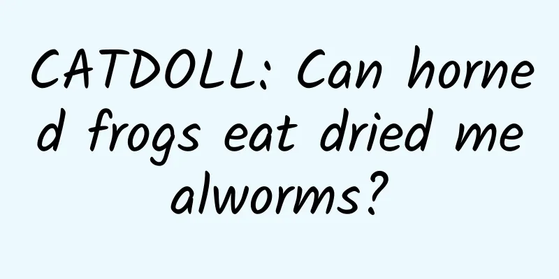 CATDOLL: Can horned frogs eat dried mealworms?