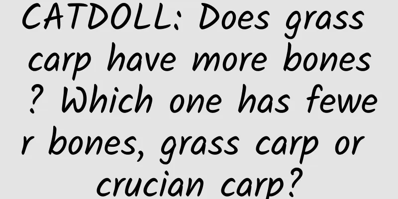 CATDOLL: Does grass carp have more bones? Which one has fewer bones, grass carp or crucian carp?