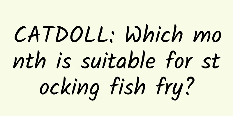 CATDOLL: Which month is suitable for stocking fish fry?