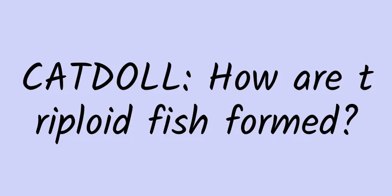CATDOLL: How are triploid fish formed?