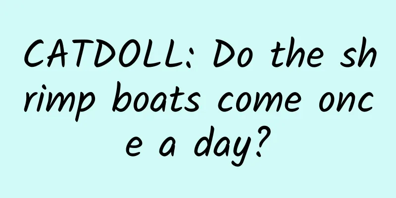 CATDOLL: Do the shrimp boats come once a day?