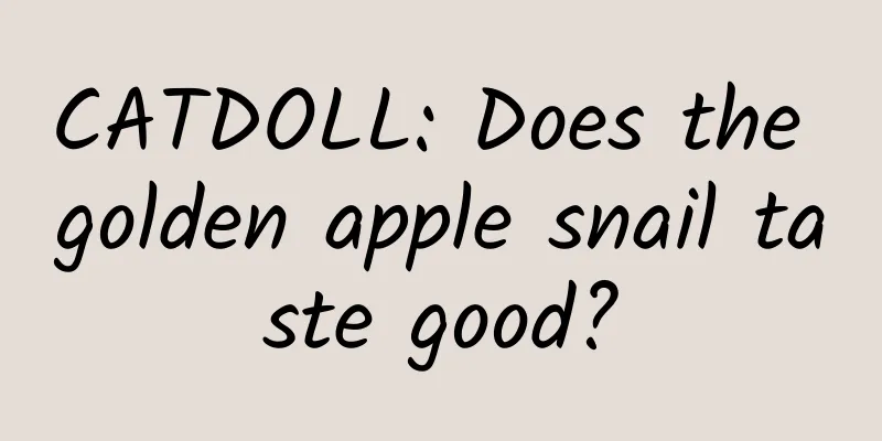CATDOLL: Does the golden apple snail taste good?