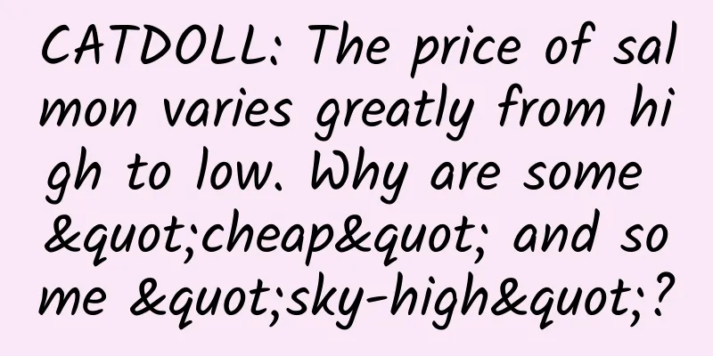 CATDOLL: The price of salmon varies greatly from high to low. Why are some "cheap" and some "sky-high"?