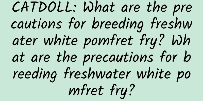 CATDOLL: What are the precautions for breeding freshwater white pomfret fry? What are the precautions for breeding freshwater white pomfret fry?
