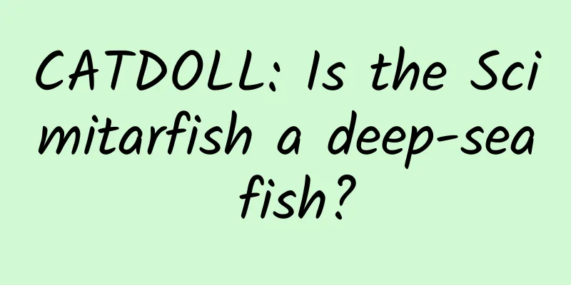 CATDOLL: Is the Scimitarfish a deep-sea fish?