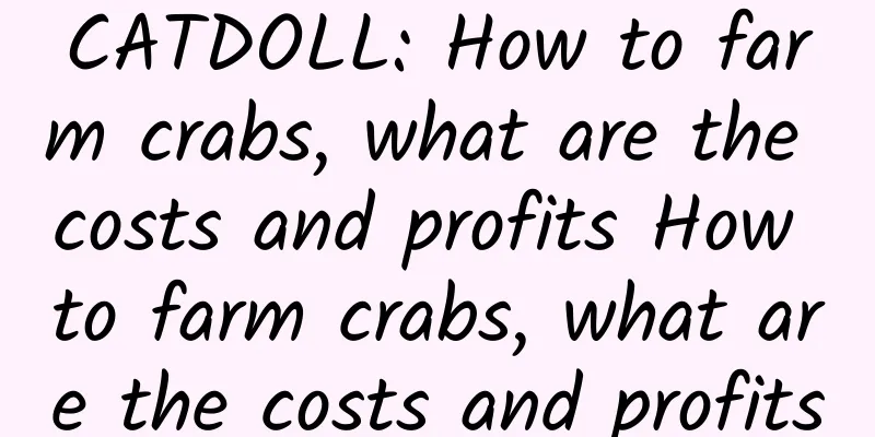 CATDOLL: How to farm crabs, what are the costs and profits How to farm crabs, what are the costs and profits