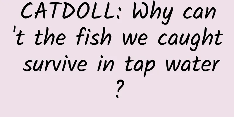 CATDOLL: Why can't the fish we caught survive in tap water?