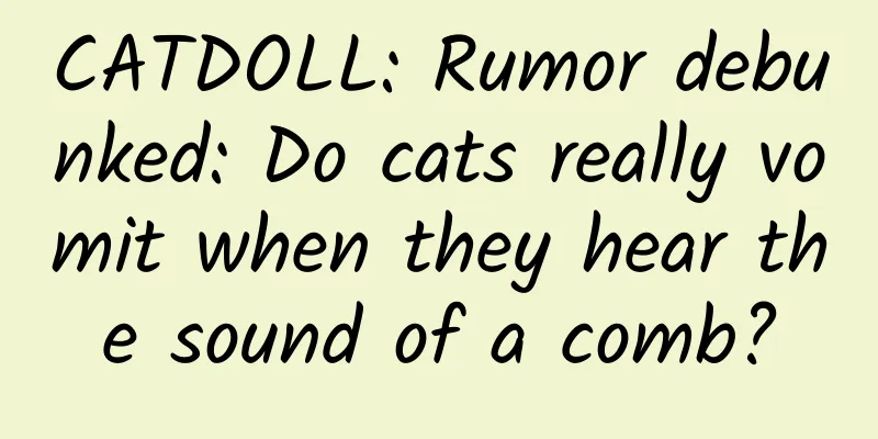 CATDOLL: Rumor debunked: Do cats really vomit when they hear the sound of a comb?