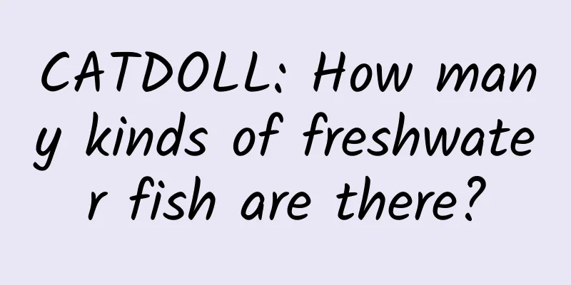 CATDOLL: How many kinds of freshwater fish are there?