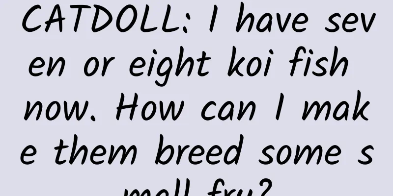 CATDOLL: I have seven or eight koi fish now. How can I make them breed some small fry?