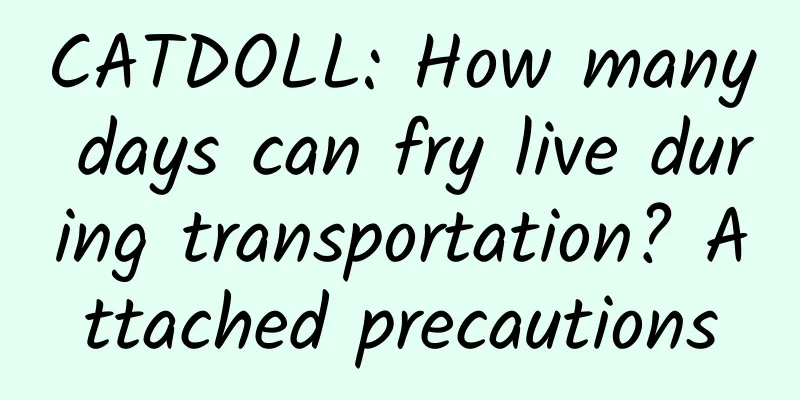 CATDOLL: How many days can fry live during transportation? Attached precautions