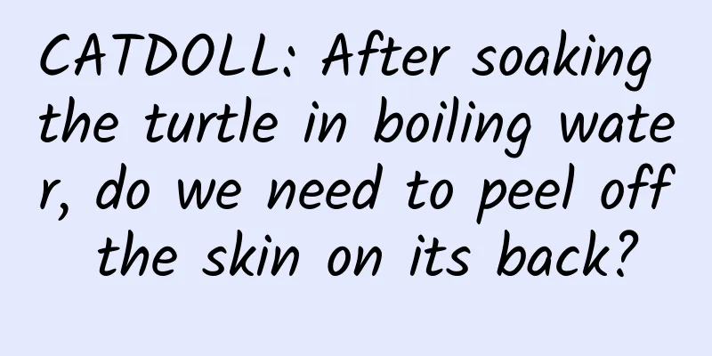 CATDOLL: After soaking the turtle in boiling water, do we need to peel off the skin on its back?