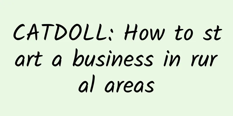 CATDOLL: How to start a business in rural areas