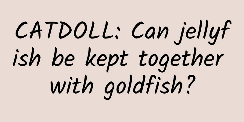 CATDOLL: Can jellyfish be kept together with goldfish?