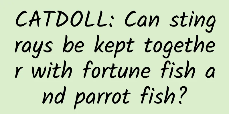 CATDOLL: Can stingrays be kept together with fortune fish and parrot fish?