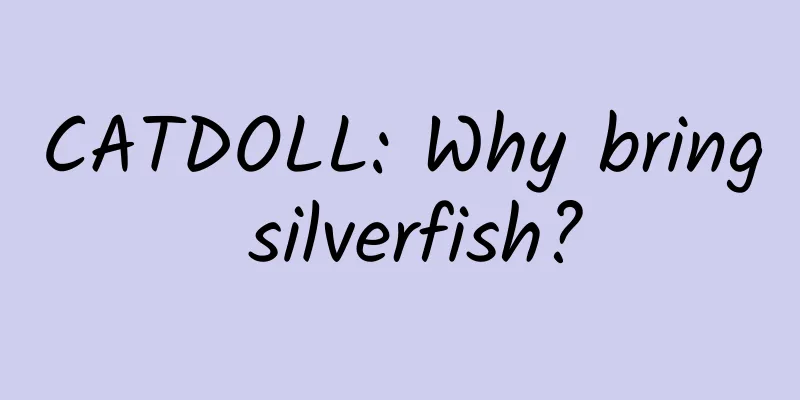 CATDOLL: Why bring silverfish?