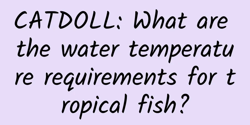 CATDOLL: What are the water temperature requirements for tropical fish?