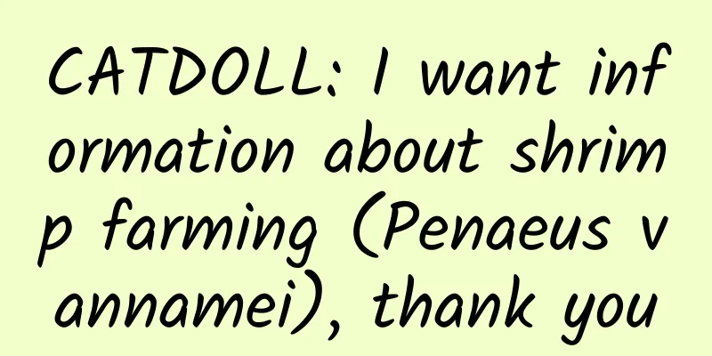CATDOLL: I want information about shrimp farming (Penaeus vannamei), thank you