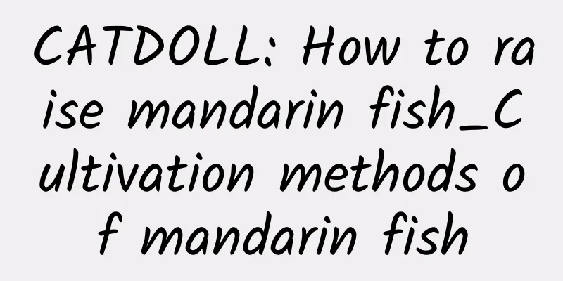CATDOLL: How to raise mandarin fish_Cultivation methods of mandarin fish