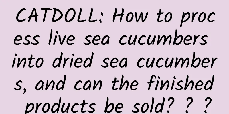 CATDOLL: How to process live sea cucumbers into dried sea cucumbers, and can the finished products be sold? ? ?