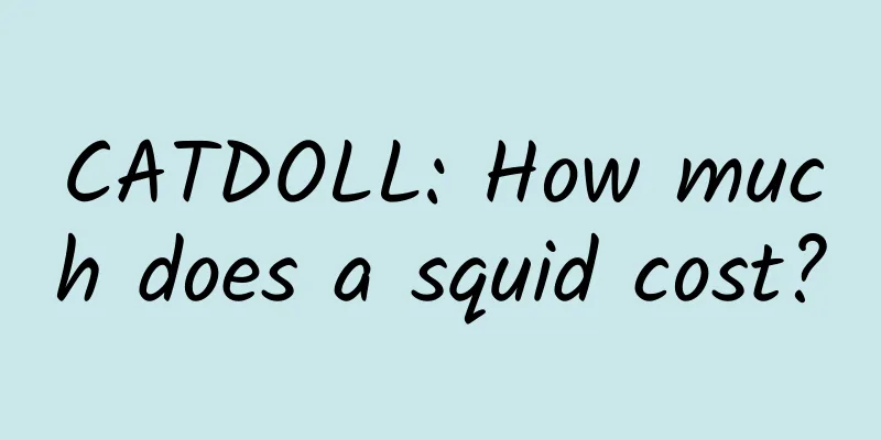CATDOLL: How much does a squid cost?