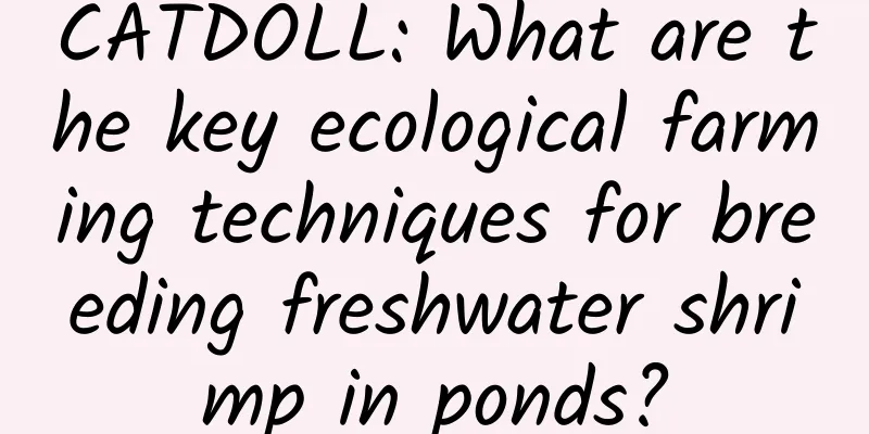 CATDOLL: What are the key ecological farming techniques for breeding freshwater shrimp in ponds?