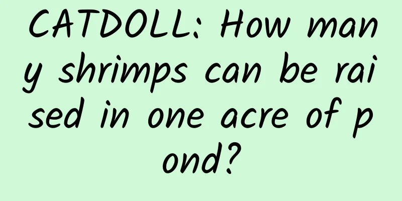 CATDOLL: How many shrimps can be raised in one acre of pond?