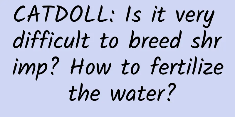 CATDOLL: Is it very difficult to breed shrimp? How to fertilize the water?