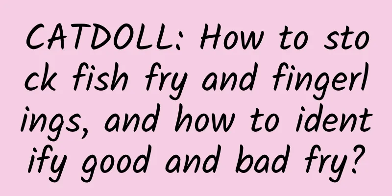 CATDOLL: How to stock fish fry and fingerlings, and how to identify good and bad fry?