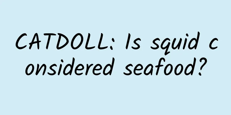 CATDOLL: Is squid considered seafood?