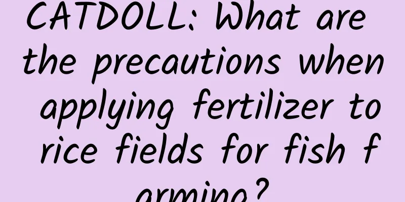 CATDOLL: What are the precautions when applying fertilizer to rice fields for fish farming?