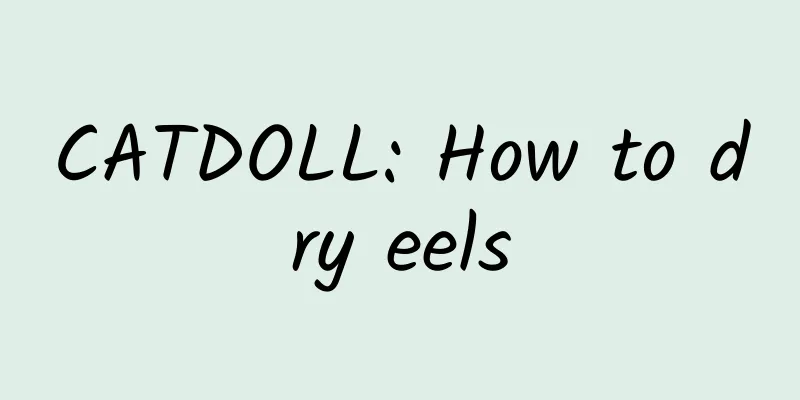 CATDOLL: How to dry eels