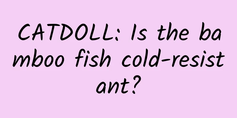 CATDOLL: Is the bamboo fish cold-resistant?